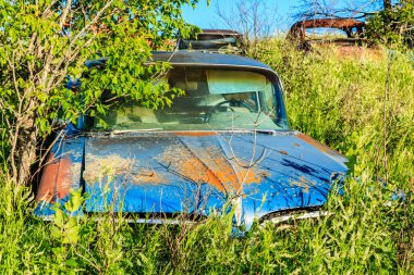 Bir araba çim tarlasında duruyor. Araba eski ve paslı. Çimler yeşil ve uzun