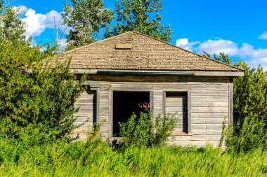 Küçük, eğimli çatısı ve penceresi olan eski bir ev. Ev bir sürü yeşil çimen ve çalılarla çevrili.