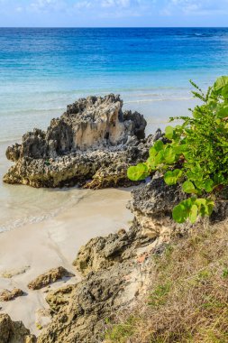 Önünde büyük bir kaya olan kayalık bir sahil. Sahil sakin ve sakin, arkada okyanus var.