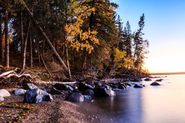 Arkasında orman olan güzel bir göl. Su sakin ve ağaçlar sonbahar renginde.
