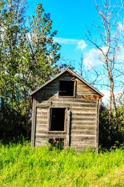Penceresi ve kapısı olan küçük, eski, ahşap bir ev. Ev ağaçlar ve otlarla çevrili.