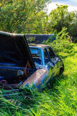 Kaputu açık bir şekilde çimenli bir arazide bir araba oturuyor. Araba eski ve paslı ve terk edilmiş. Sahnenin bir yalnızlık ve çürüme hissi var, araba paslanmaya bırakılmış gibi.
