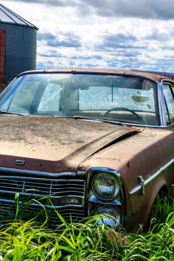 Paslanmış eski bir araba bir çimen tarlasında duruyor. Araba kir içinde ve farları kırık. Sahne terk edilme ve ihmal hissi veriyor.