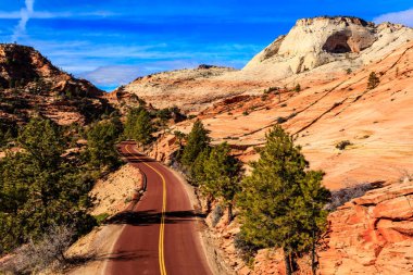 Kırmızı çizgili ve yanında ağaçlar olan bir yol. Yol boş ve gökyüzü mavi.