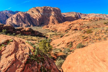Önünde yalnız bir ağaç olan kayalık bir çöl manzarası. Gökyüzü açık ve mavidir ve arkaplandaki dağlar koyu kırmızı renktedir. Huzurlu ve huzurlu bir sahne.