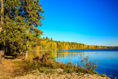 Arkasında ağaç olan güzel bir göl. Gökyüzü mavi ve su sakin.