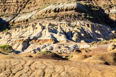 Üzerinde birkaç bitki yetişen kayalık bir yamaç. Bitkiler seyrek ve yamaçlar çorak.