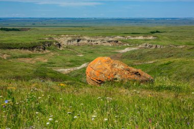 Büyük bir kaya bir çimen tarlasında oturur. Kaya turuncudur ve yeşil bir alanla çevrilidir. Huzurlu ve huzurlu bir sahne.