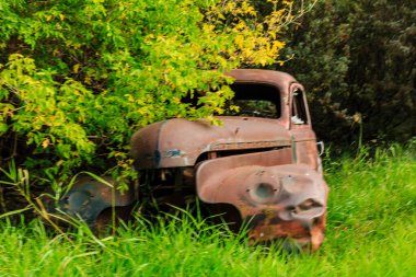 Eski paslı bir kamyon çimenli bir arazide oturuyor. Kamyon pas içinde ve ön camı da kırık. Sahne sessiz ve huzurlu, tek ses otların hışırtısı.