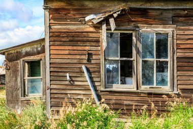 Kırık camlı harap olmuş eski bir ev. Ev yabani otlar ve otlarla çevrili.