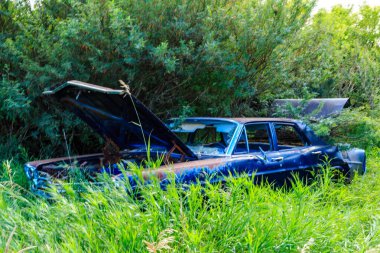 Mavi bir araba çimenli bir arazide duruyor. Araba eski ve paslı, kaput da açık. Araba uzun otlarla çevrili ve terk edilmiş. Sahnede çürüme ve ihmal duygusu var.
