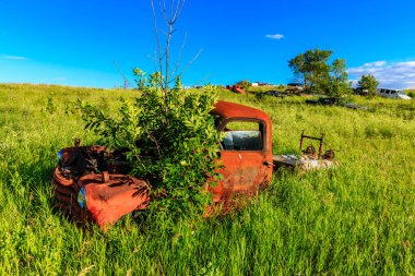Eski bir kırmızı kamyon bir çimen tarlasında oturuyor. Kamyon pas içinde ve penceresinde büyüyen bir ağaç var. Sahne huzurlu ve huzurlu, kamyonla.