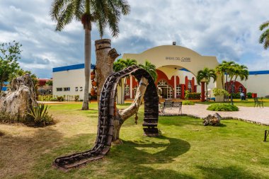 Büyük bir ağaç gövdesi çimenli bir alanın ortasındadır. Sandık, eşsiz ve ilginç bir heykel oluşturan bir dizi lastikle çevrili. Sahne sakin ve sakin, ağaçla.