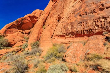 Üzerinde bir sürü bitki yetişen kayalık bir dağ. Bitki örtüsü seyrektir ve kayalar büyüktür. Gökyüzü mavi ve güneş parlıyor.