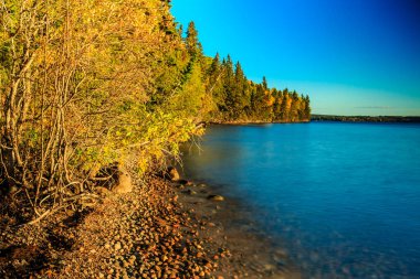 Arkasında orman olan güzel bir göl. Su sakin ve gökyüzü berrak.