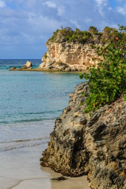 Okyanusa bakan kayalık bir uçurum. Su sakin ve gökyüzü mavi. Huzurlu ve huzurlu bir sahne.