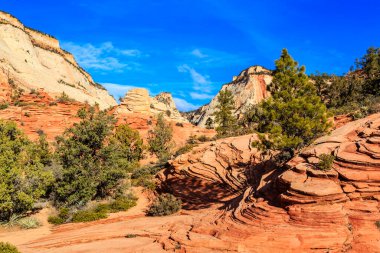 Önünde bir ağaç olan kayalık bir çöl manzarası. Gökyüzü açık ve mavidir, ve güneş parlıyor. Huzurlu ve huzurlu bir manzara. Ağaç yaşam hissi veriyor.