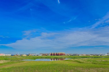Ortasında küçük bir gölet olan büyük bir tarla. Gökyüzü açık ve mavi, bulutsuz.