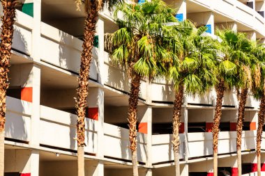 Bir sıra palmiye ağacı bir otoparkın önünde duruyor. Palmiye ağaçları uzun ve yeşildir ve bir sırada dizilmişlerdir. Otopark beyaz ve modern bir tasarımı var.