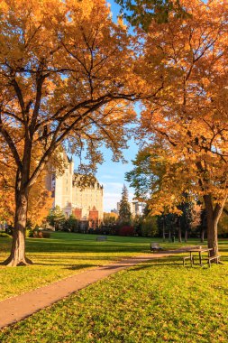 Arkasında büyük bir bina olan bir park. Ağaçlar yapraklarla dolu ve gökyüzü temiz.