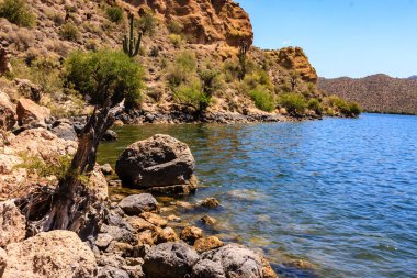 Arka planda bir su kütlesi olan kayalık bir kıyı şeridi. Su sakin ve berrak, ve kayalar kıyı boyunca dağılmış. Huzurlu ve huzurlu bir sahne.