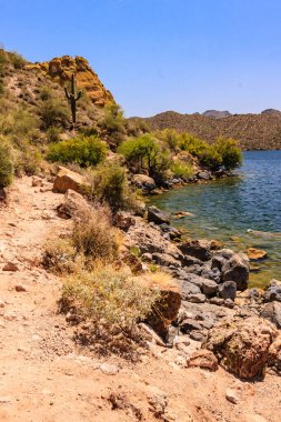 Küçük bir su kütlesi olan kayalık bir kıyı şeridi. Su berrak ve sakin. Kıyı şeridi kayalık ve çorak, bölgede sadece birkaç bitki yetişiyor.