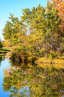 Ağaçlar ve gölle güzel bir sonbahar günü. Ağaçlar yapraklarla dolu ve su sakin.