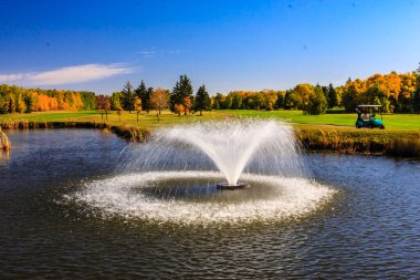 Arka planda golf sahası olan küçük bir çeşme gölün ortasındadır. Suyun yanında bir golf arabası var.