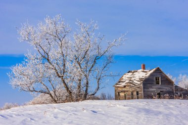 Karlı bir tepede küçük, eski bir ev duruyor. Ev ağaçlarla çevrili ve gökyüzü açık ve mavi. Ortalık sakin ve sakin, kar zemini kaplıyor.
