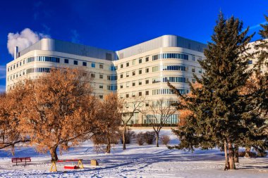 Önünde ağaç olan büyük beyaz bir bina. Binanın etrafı ağaçlarla çevrili ve önünde bir bank var.