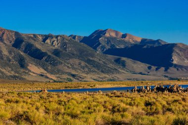 Önünde göl olan bir dağ sırası. Gökyüzü mavi ve güneş parlıyor.