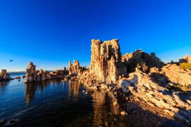 Arka planda bir su kütlesi olan kayalık bir kıyı şeridi. Su sakin ve gökyüzü mavi.