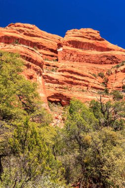 Yanında yeşil orman olan bir dağ. Dağ kırmızı kayalarla kaplı. Gökyüzü mavi ve berrak