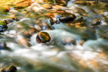 Kayaların üzerinden bir su akıntısı akıyor. Su berrak ve sakin, ve kayalar derenin her tarafına dağılmış. Güneş ışığını yansıtan suyla sahne huzurlu ve huzurlu.