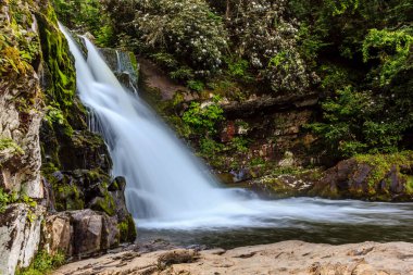 Bir şelale nehre akıyor. Su temiz ve kayalar yosunlu. Huzurlu ve huzurlu bir sahne.
