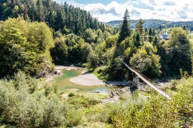 Bir köprü ormandaki bir nehri kapsar. Köprü ahşaptır ve nehrin genişliğini kapsar. Köprü ağaçlarla çevrili ve su temiz.