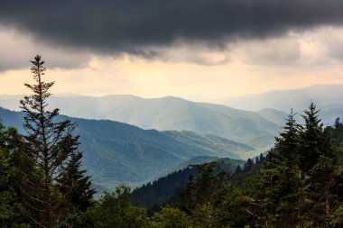 Yamaçlarını saran yemyeşil ağaçları olan güzel bir dağ sırası. Gökyüzü bulutlu, karamsar bir atmosfer yaratıyor. Sahne huzurlu ve sakin, ağaçlar sükunet hissi veriyor.