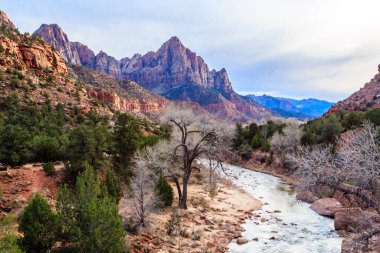 Arka planda dağlar olan bir nehir bir kanyonun içinden akar. Gökyüzü bulutlu ve güneş gökyüzünde alçak.