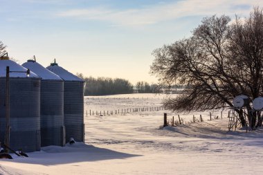 Arka planda üç silosu ve bir ağacı olan bir alan. Silolar boş ve karla kaplı.