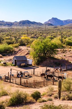 Bir grup at arka planda duran bir adamla birlikte ağıldalar. Sahne huzurlu ve sakin, arka planda dağlar sükunet duygusunu artırıyor.