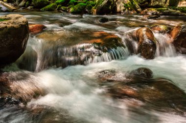 Ormandaki kayaların üzerinden akan bir su akıntısı. Su berrak ve sakin, ve kayalar derenin her tarafına dağılmış. Sahne huzurlu ve sakin, suyun sesiyle.