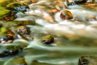 İçinde taşlar olan bir su akıntısı. Su berrak ve kayalar kahverengi.