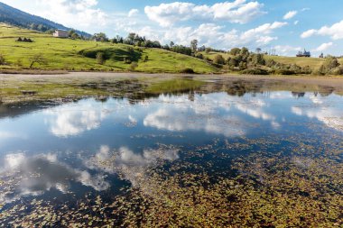 Arka planda birkaç ağaç olan büyük bir su kütlesi. Su sakin ve durgun.