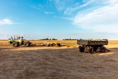 Bir traktör sebzelerle dolu bir römorku çekiyor. Traktör yeşil ve römork siyah. Gökyüzü mavi ve hiç bulut yok.