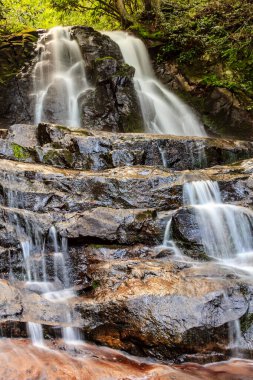 İçinden bir sürü su akan bir şelale. Su berrak ve bir dağdan geliyor gibi görünüyor.