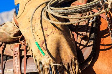 Üzerinde yeşil boncuklar olan kahverengi deri bir kayış bir atın kuyruğuna bağlıdır. Kayış yıpranmış ve yıpranmış, görüntüye eski moda bir hava veriyor.