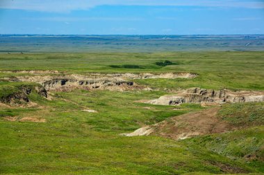 Geniş, birkaç küçük tepesi ve birkaç ineği olan açık bir arazi. Gökyüzü açık ve mavi