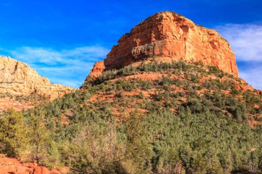 A mountain with a green forest on top. The sky is blue and the sun is shining. The mountain is very tall and the trees are very green