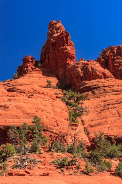 Üzerinde ağaç büyüyen kayalık bir dağ. Dağ kırmızı ve gökyüzü mavi.