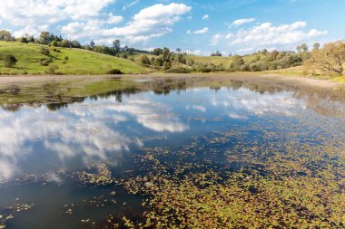 Yüzeyinde bir sürü yaprak yüzen bir gölet. Su sakin ve hareketsiz. Gökyüzü bulutlu, ama güneş bulutların arasından parlıyor.